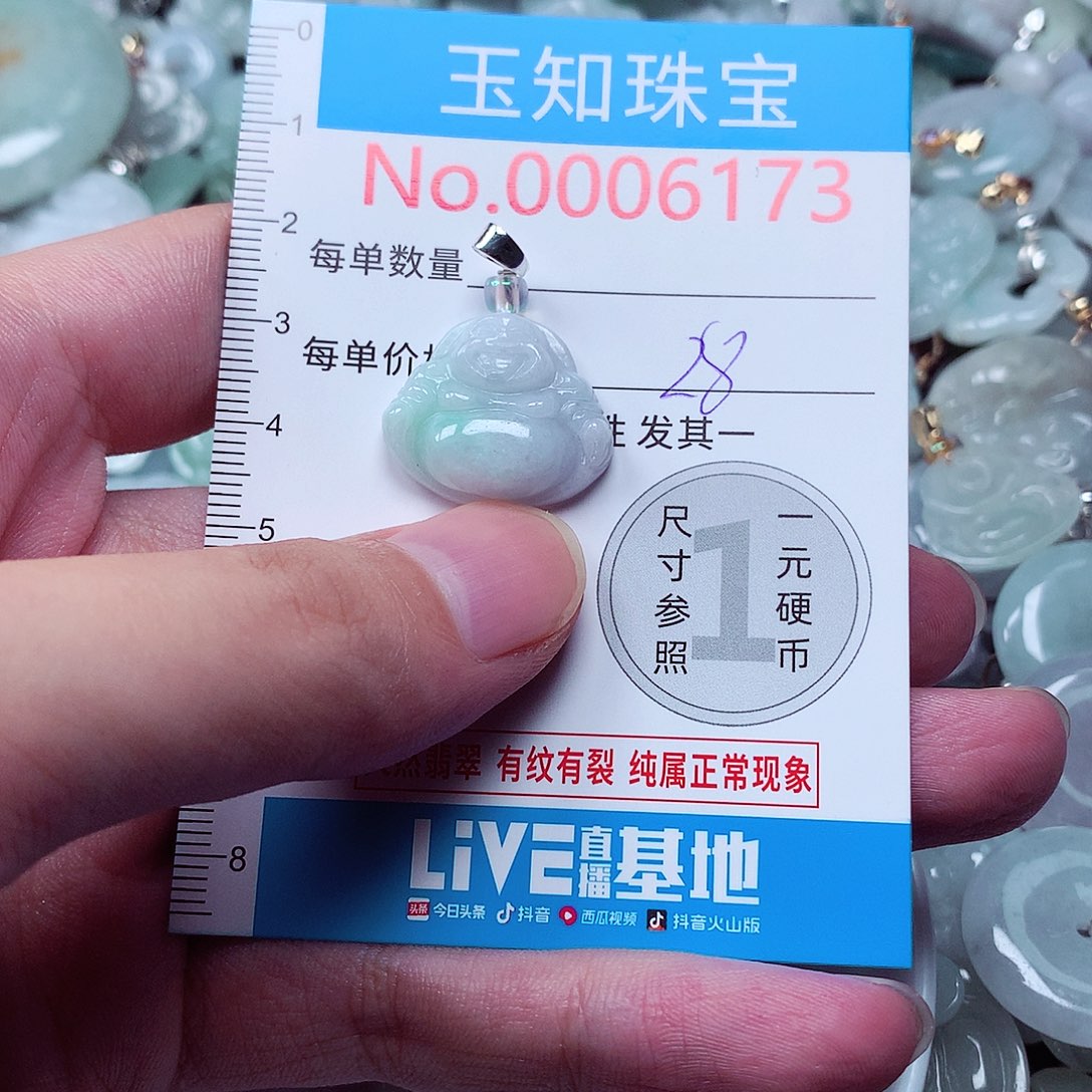 翡翠未镶嵌颈饰6173