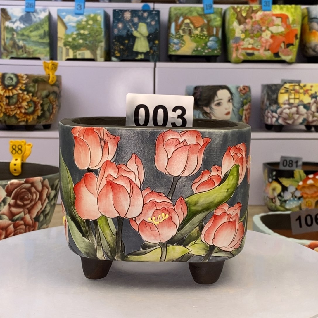 手绘多肉花盆郁金香