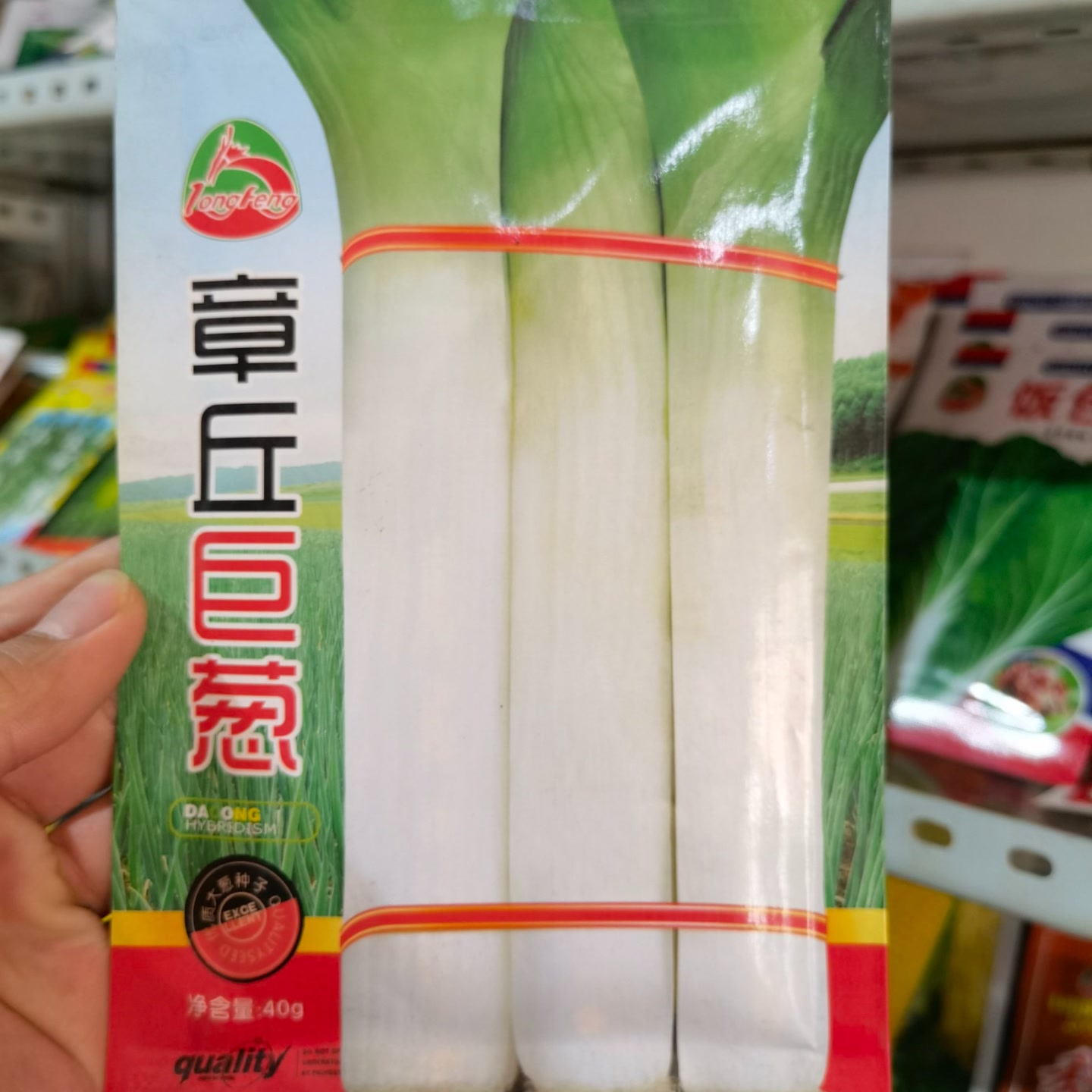 龙丰章丘巨葱大葱种子