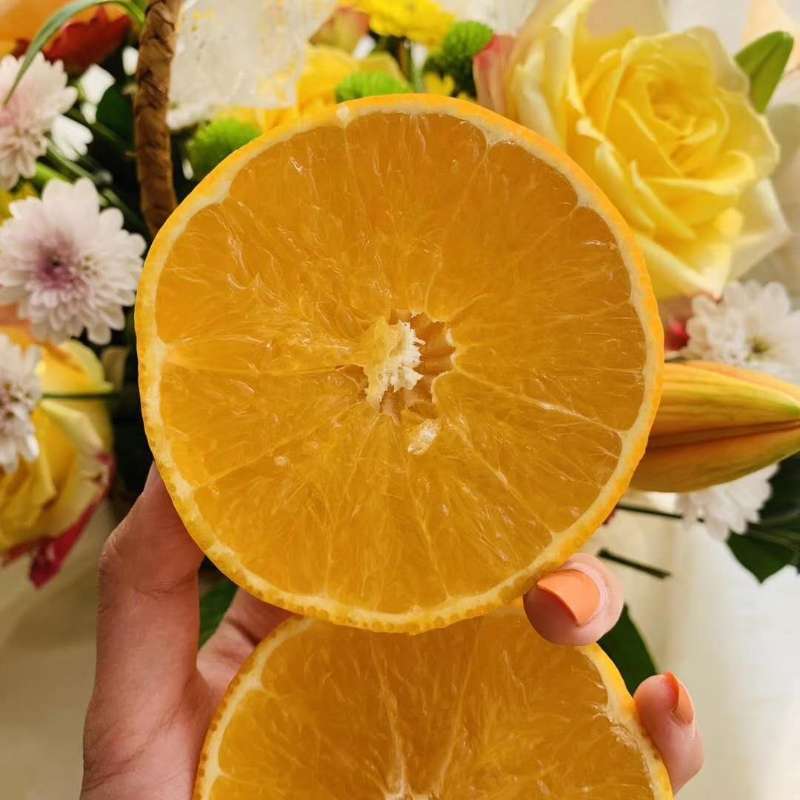 寸金地爱媛28番果冻橙1件4kg