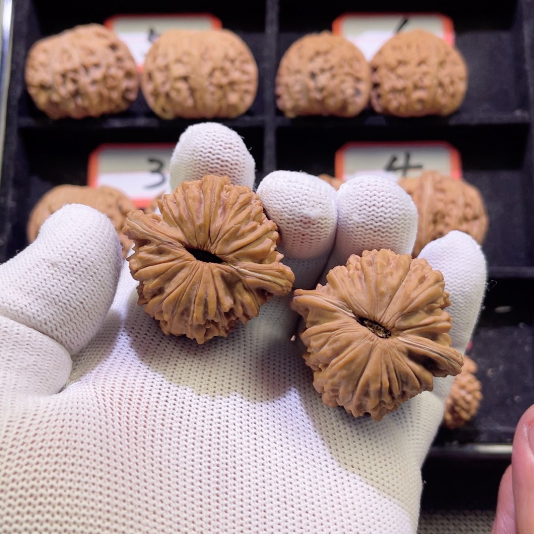 全品山地果一代平谷楼42