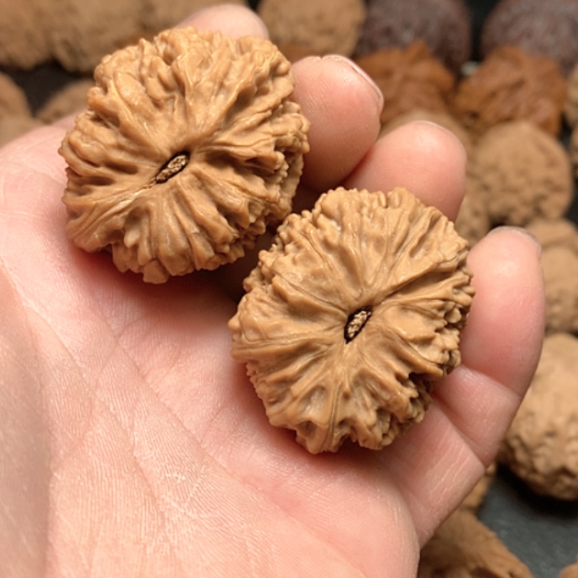 【闪购商品】喵*～南疆日