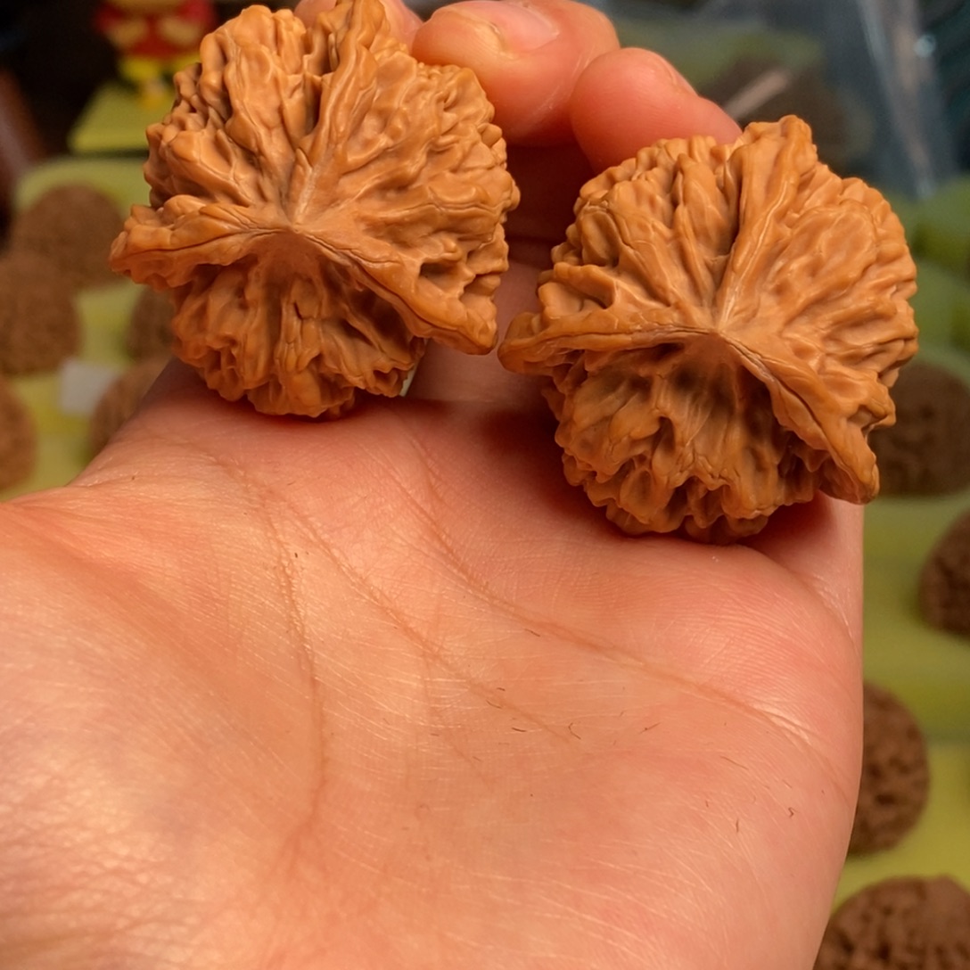 核桃秦岭帝王奔40