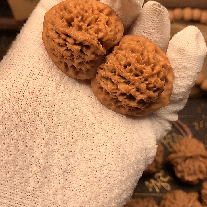 骑****?36尺秦岭野生秦闷福利黄尖