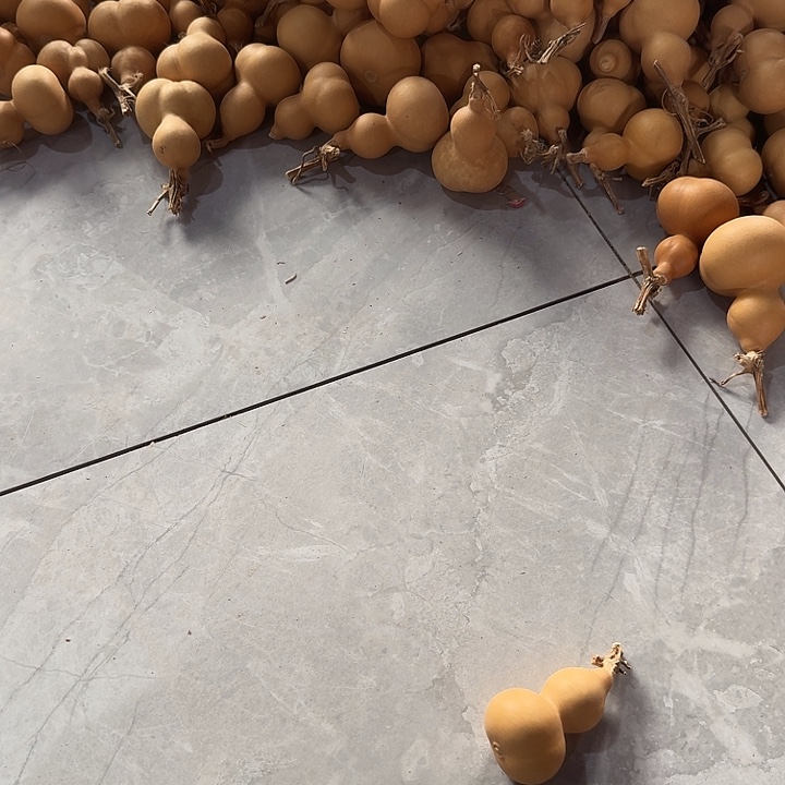 ****喵舞蹈等艺术形式进行的表演