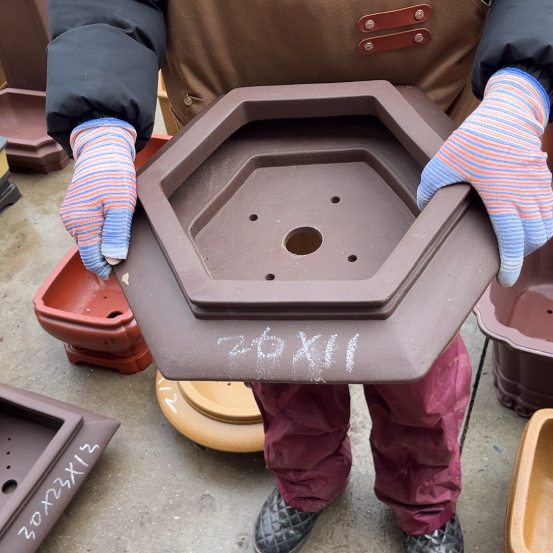 紫砂花盆盆景艺术