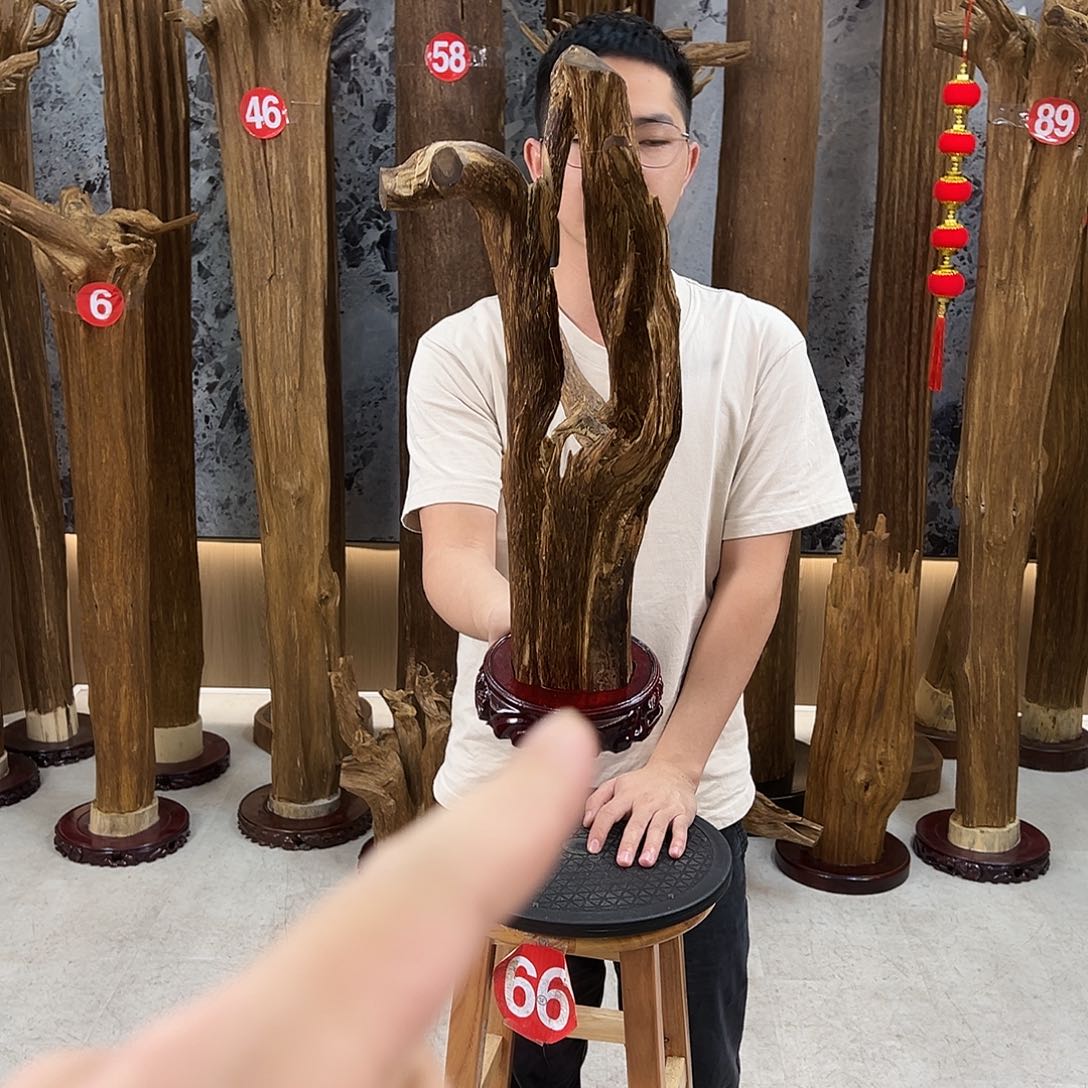 沉香沉香碎屑天然沉香