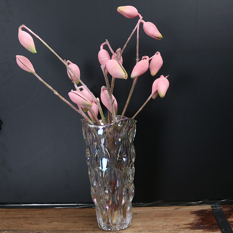 【花一专属】澳大利亚进口彩色木梨