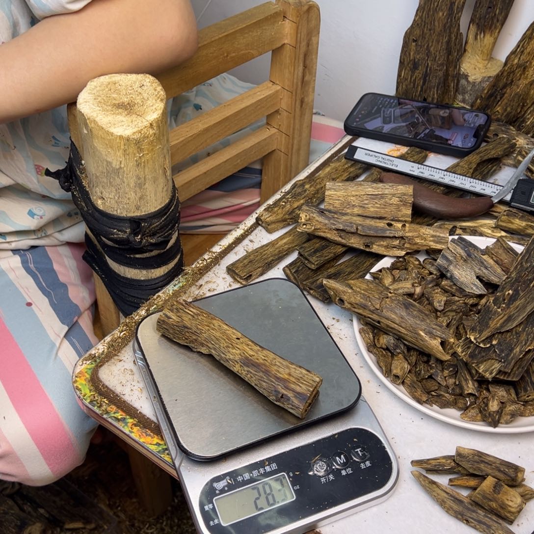 线香奇楠虫漏香28克