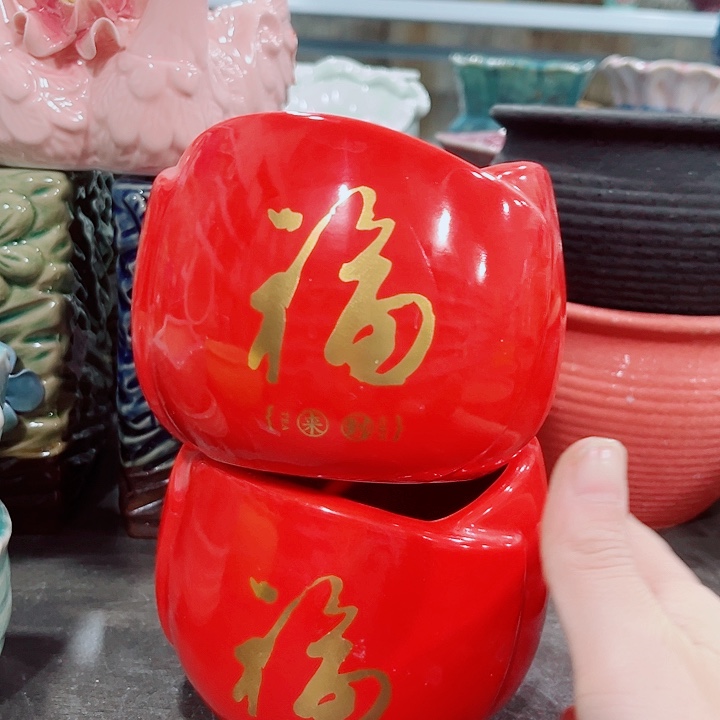 多肉花盆满10元包邮