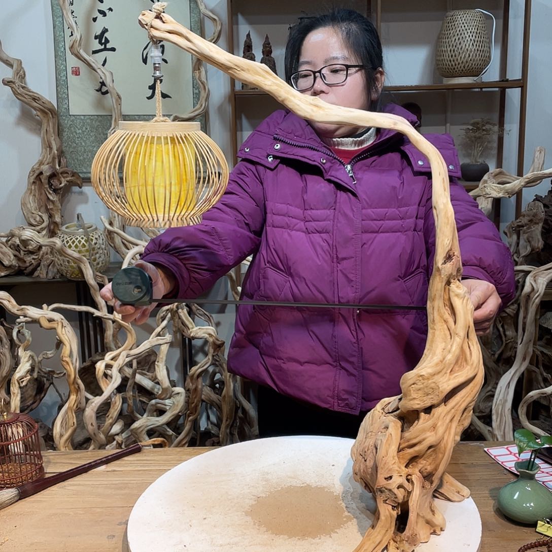 柏木杜鹃根根艺摆件