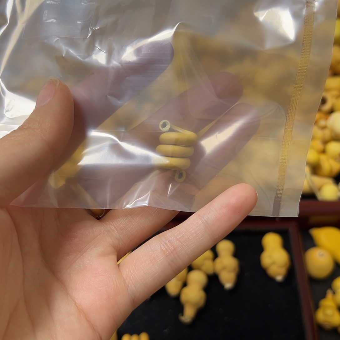 ****子葫芦葫芦葫芦葫芦