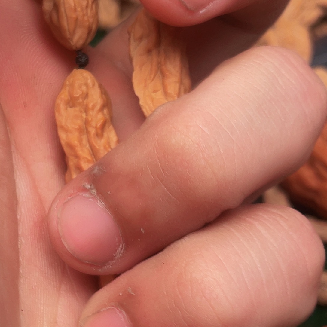 刘***坡吊坠文玩核桃异性