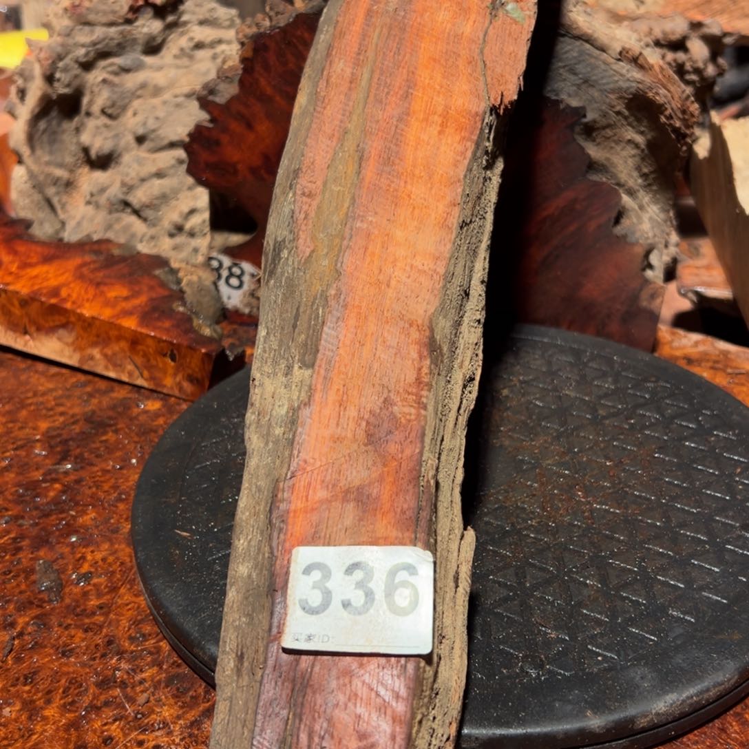 大果紫檀（缅甸花梨）