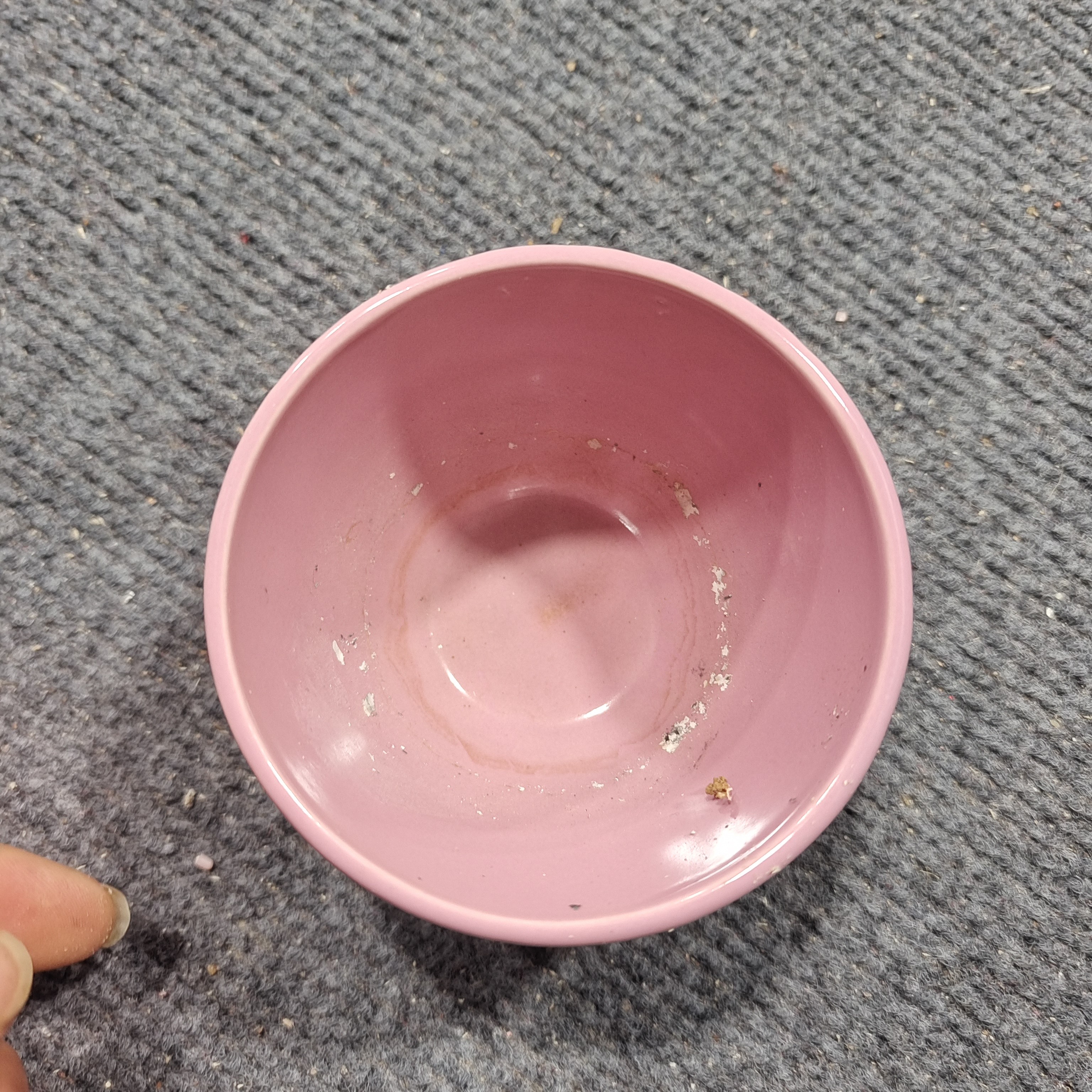 瓷器摆件小碗（直播链接专用，发货以实物为准）