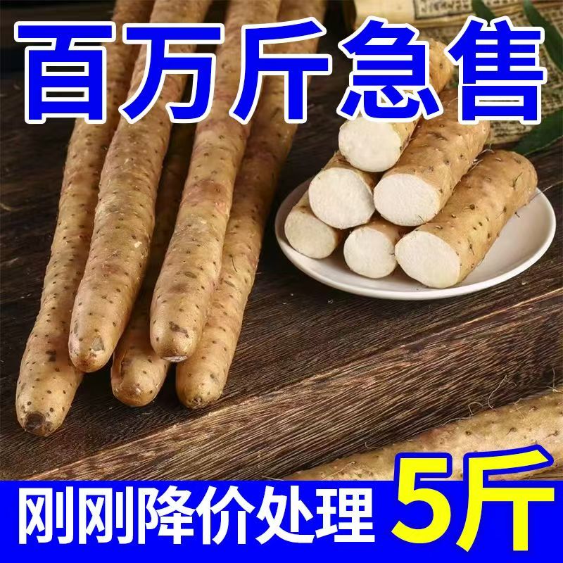 淮山药铁棍小白嘴铁杆新鲜蔬菜山药正宗铁棍山药铁棍山药特大