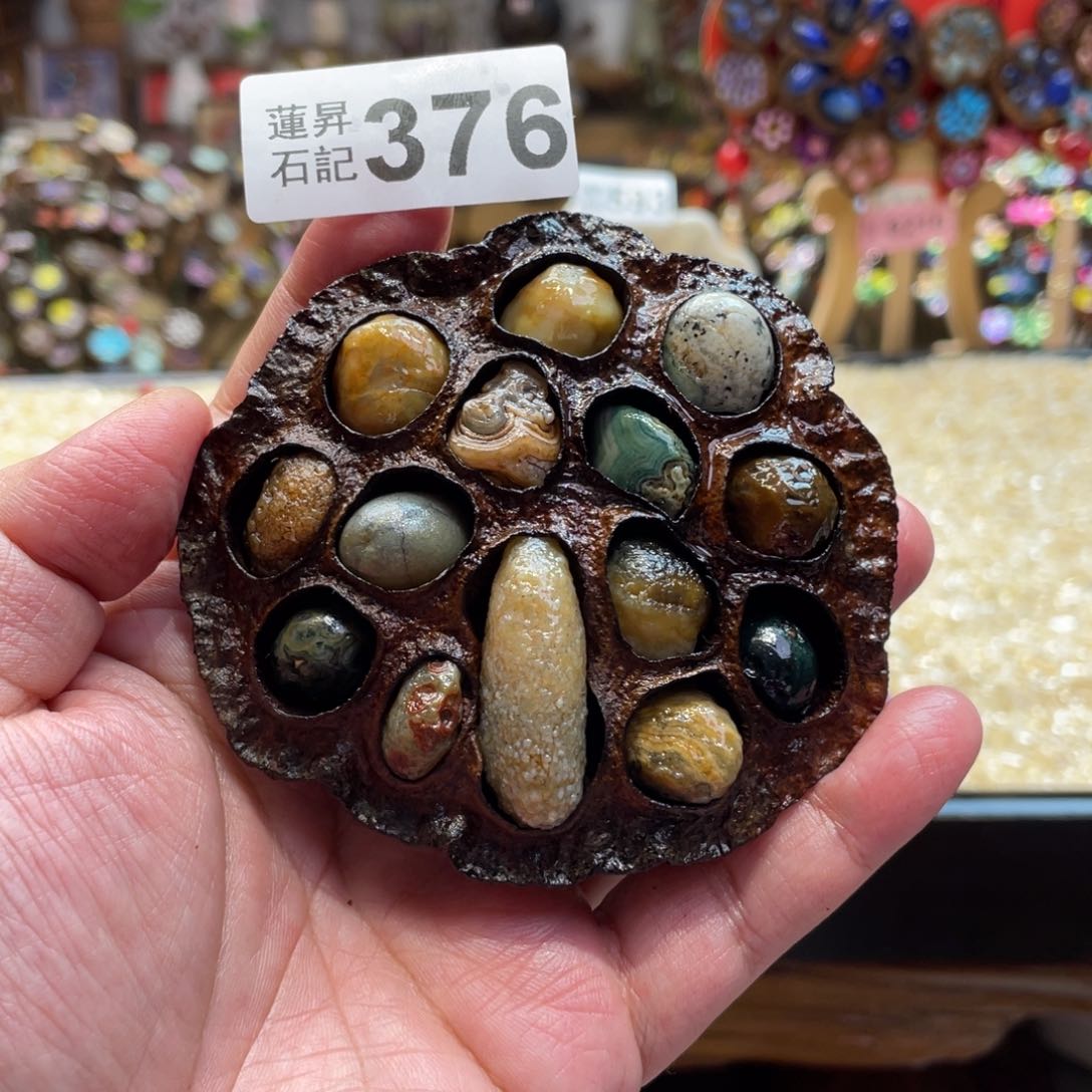 核桃木/黑胡桃（胡桃木）李*376