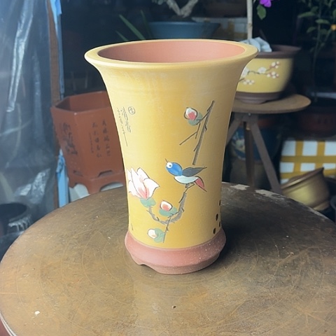 紫砂黄色荷花舍得小号