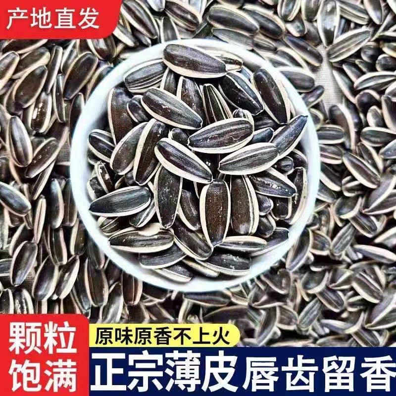 新货净重2斤原味大颗粒葵花籽炒熟瓜子香脆可口休闲零食