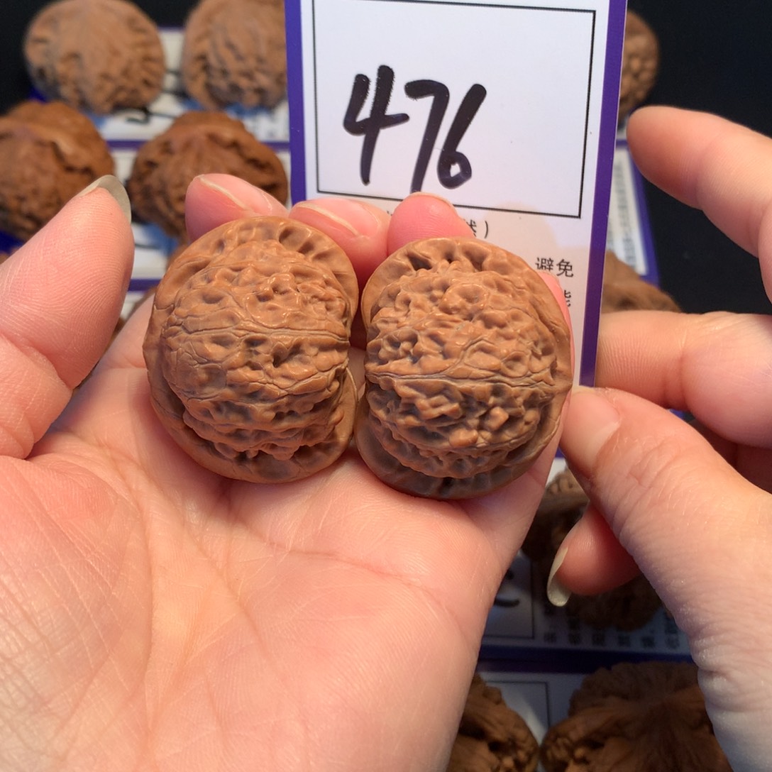 核桃476宫灯3.7全品