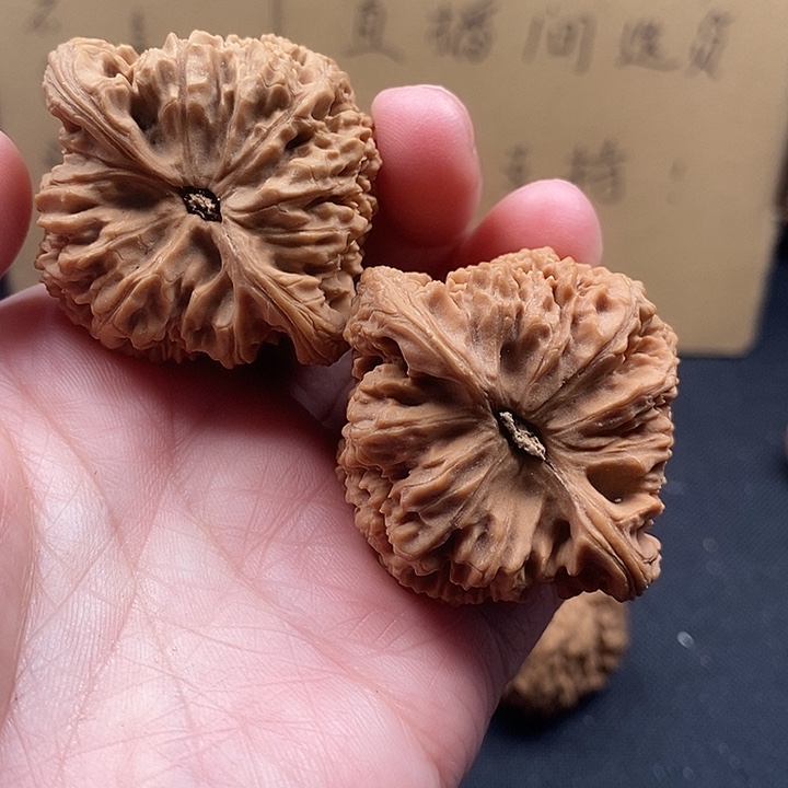 阿***耐木质类2.2.2.2.2.2.2.2