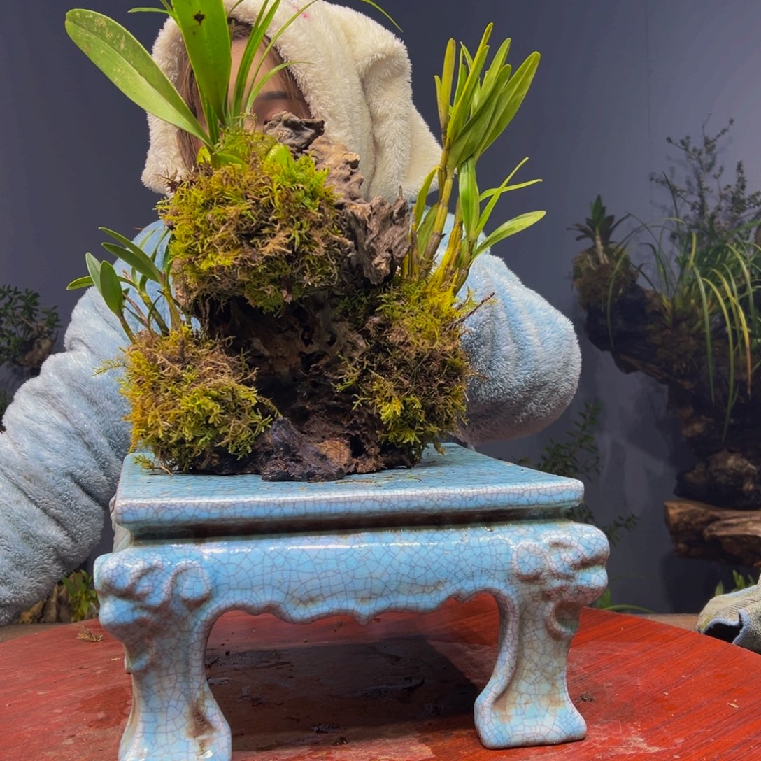 3***e完全开放1111111111