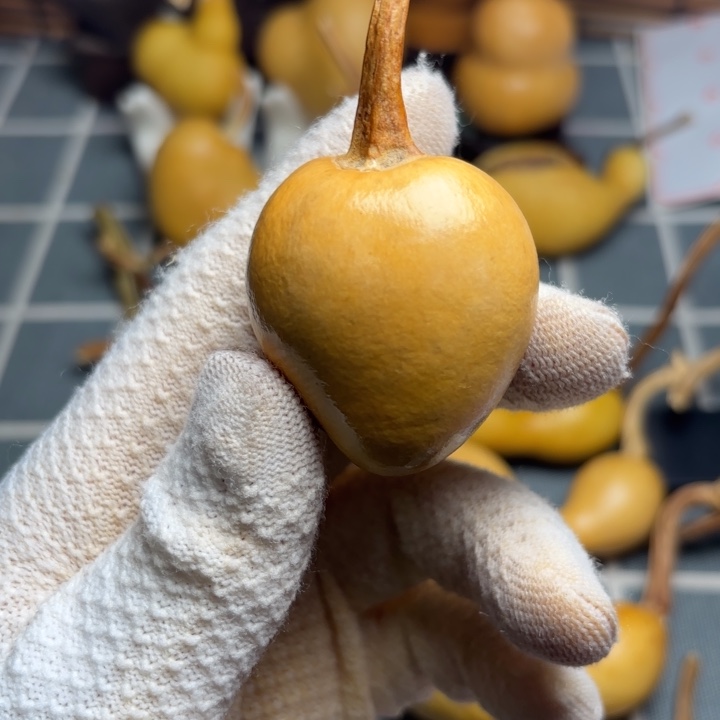 ～****6666666666666666666