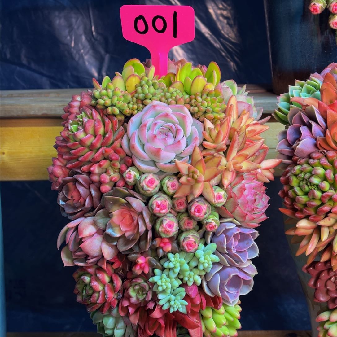 这个是真的很不错001