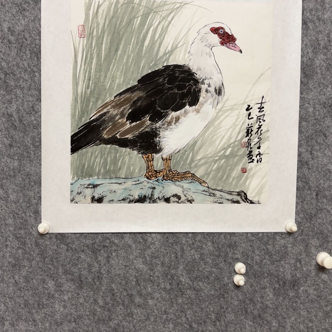 国画陈薪名一平尺鸭子