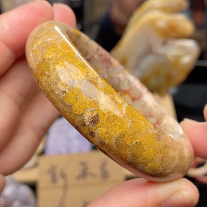 硅化珊瑚（珊瑚玉）手镯未镶嵌54