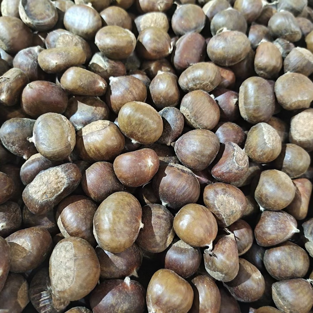 正宗迁西板栗两斤畅吃装