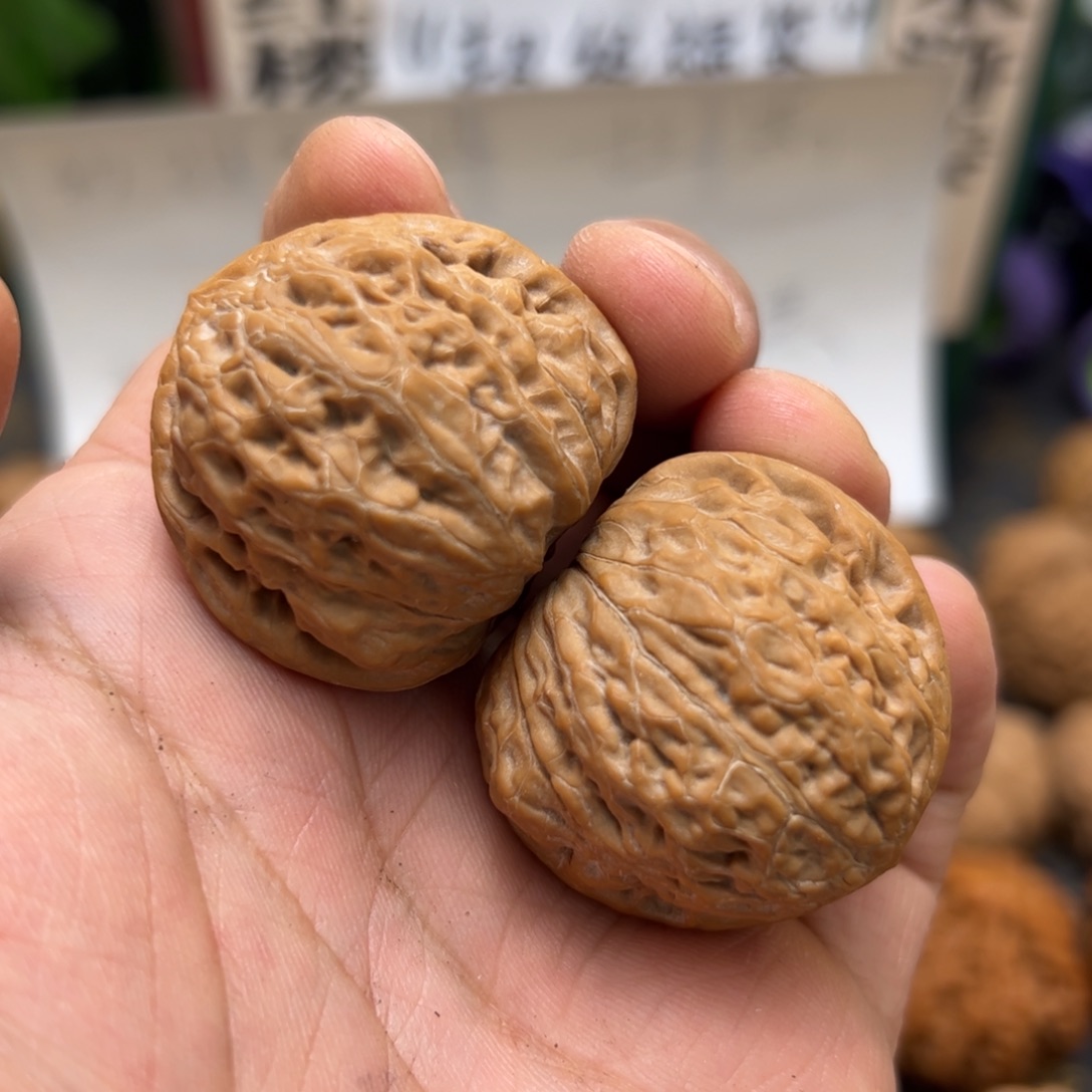 文玩核桃把件大*椰37铁锤