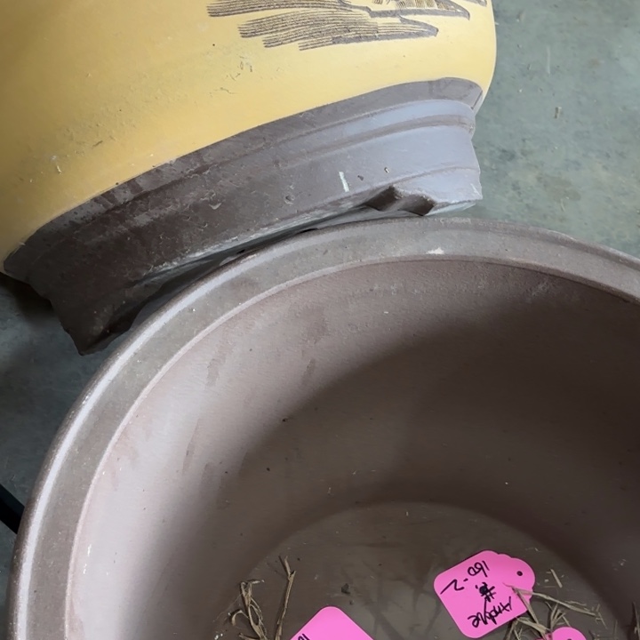 紫砂花盆         160-2