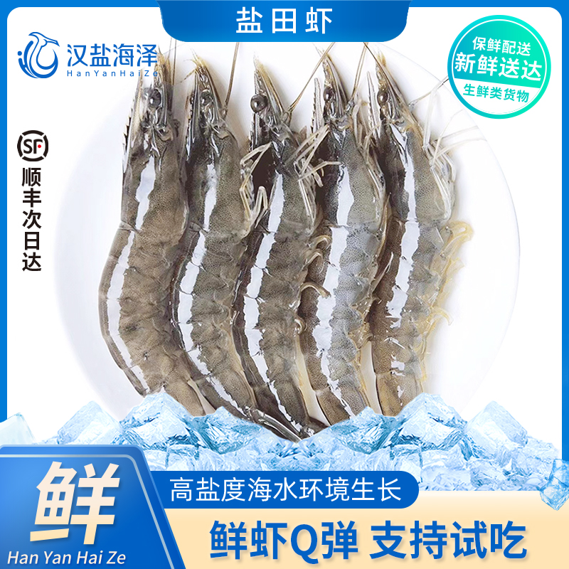 【自播】汉盐海泽 盐田虾汪子虾 净重6斤装 肉质Q弹 无冰衣 顺丰包邮 次日达