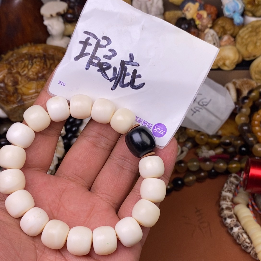其他驼骨人工样子
