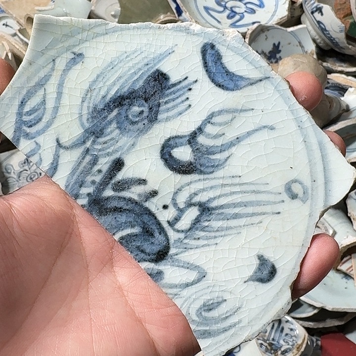 瓷片瓷片标本，顺丰包邮