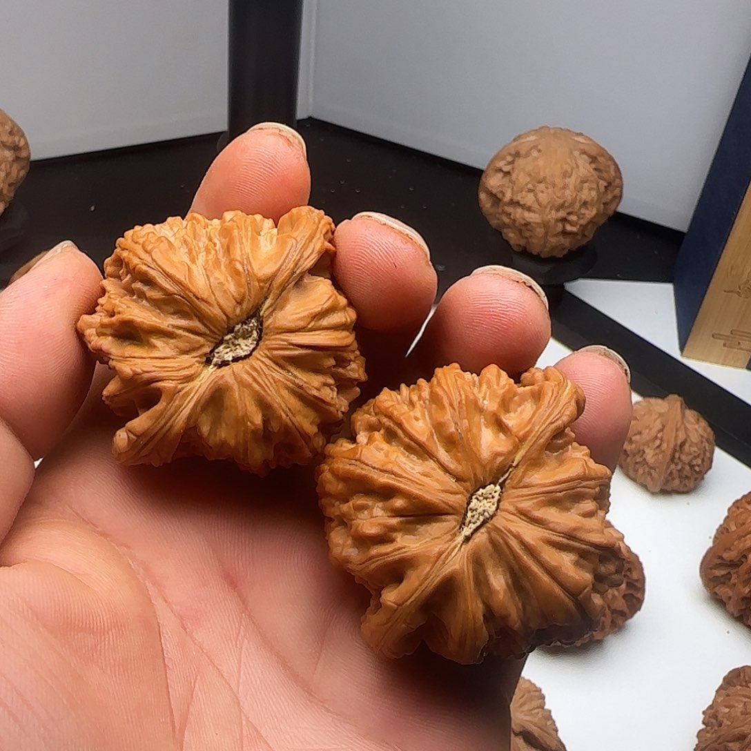 开***钱文玩核桃吊坠0005白狮子白狮子