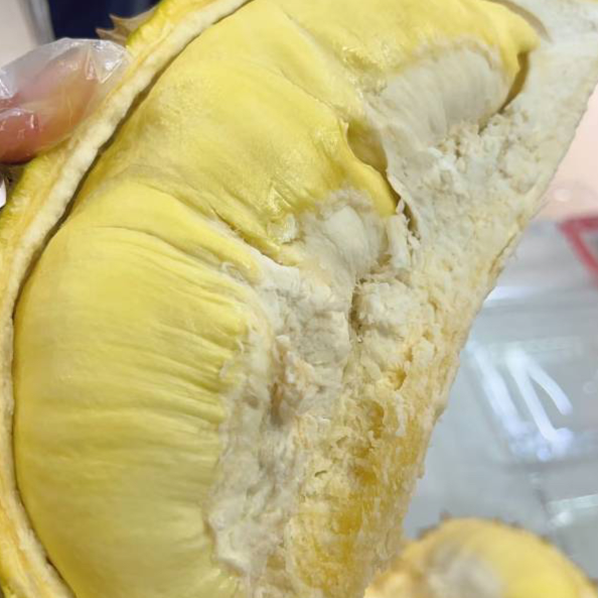 泰国金枕鲜榴莲整果一果一重核小肉多新鲜热带水果带壳鲜果金枕泰国