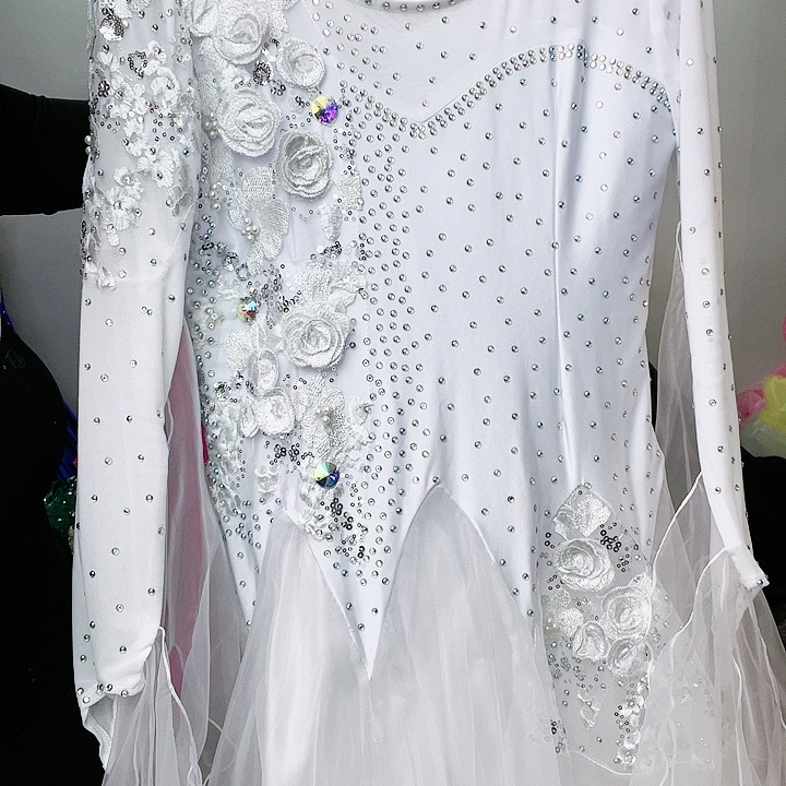 交谊舞和舞蹈动作表演