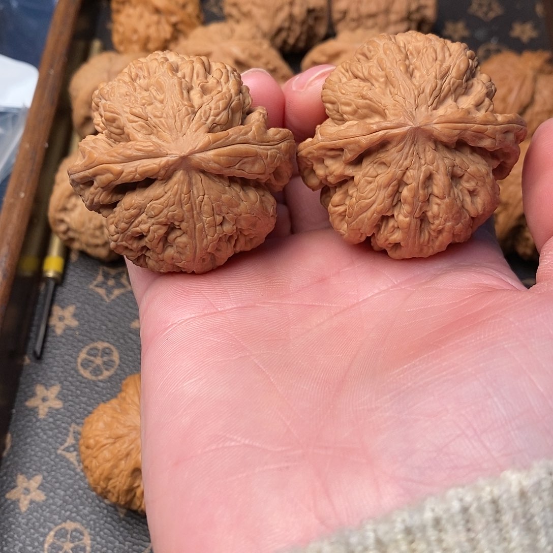 橄榄核手串/手链大****╲大粗筋45尺寸