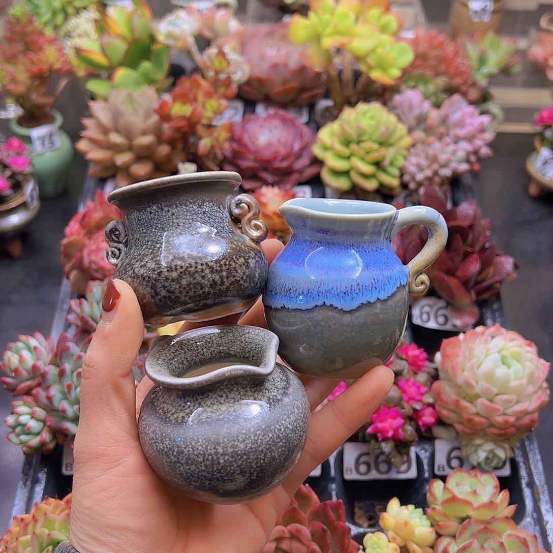 退**乐花钱花钱花钱花钱
