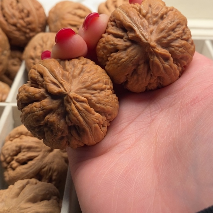 骑****文玩核桃把件霸王龙