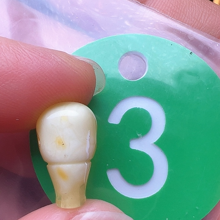 蜜蜡裸石未镶嵌花粉8.6m m
