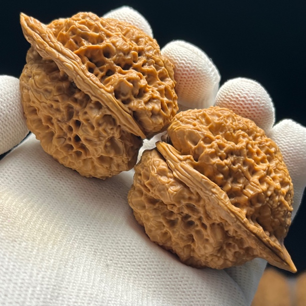 44尺寸树头锁妖塔-精品云南铁核桃天然文玩手把件一物一图产地