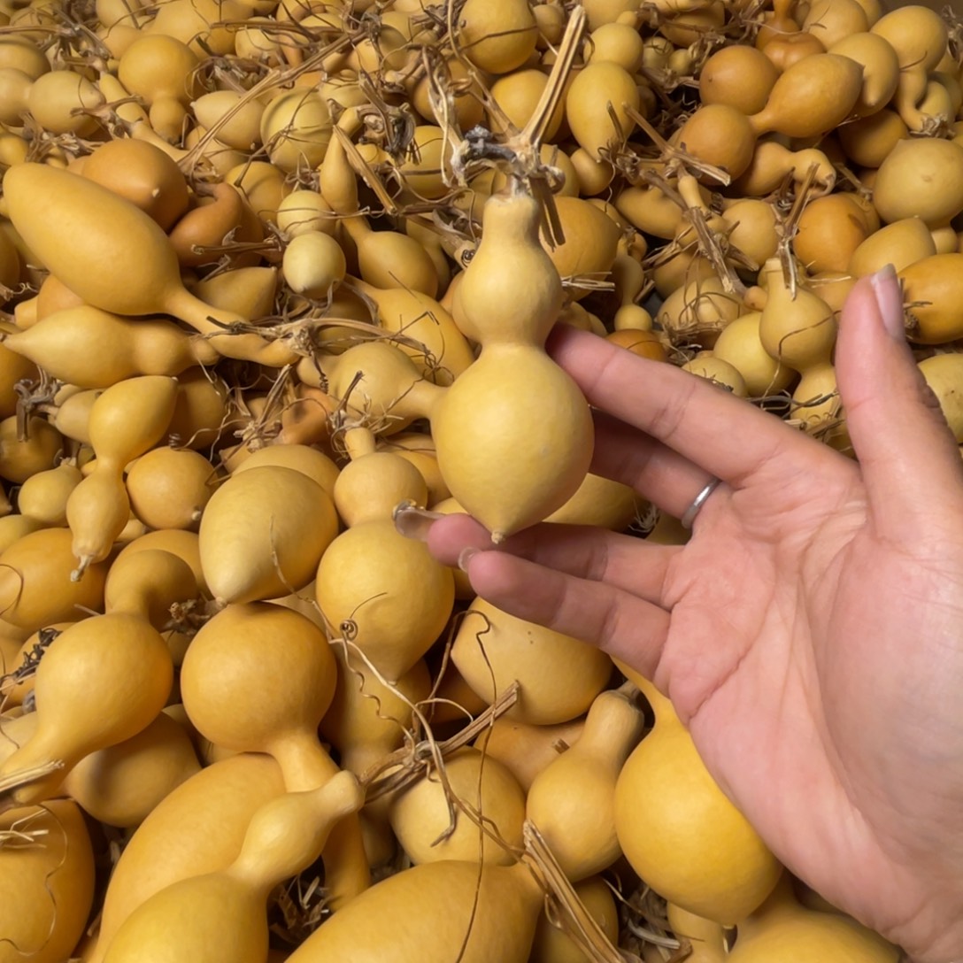 刘***0康家泷农家乐突突突