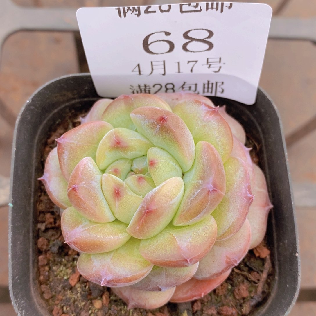 云68号楼三室五品相的