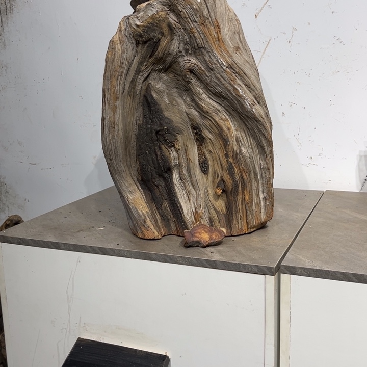 百***堂柏木崖柏等自然资源和生态环境保护