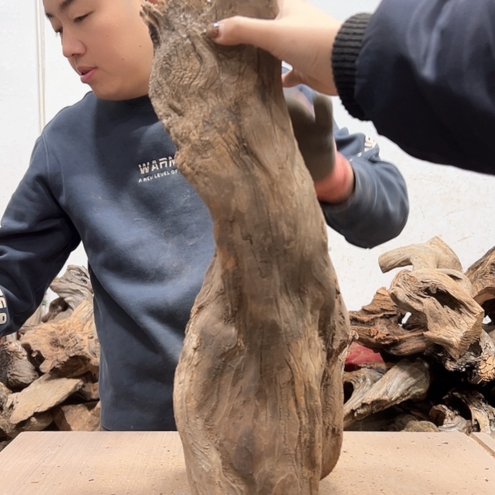 柏木就**语我们都是好孩子啊