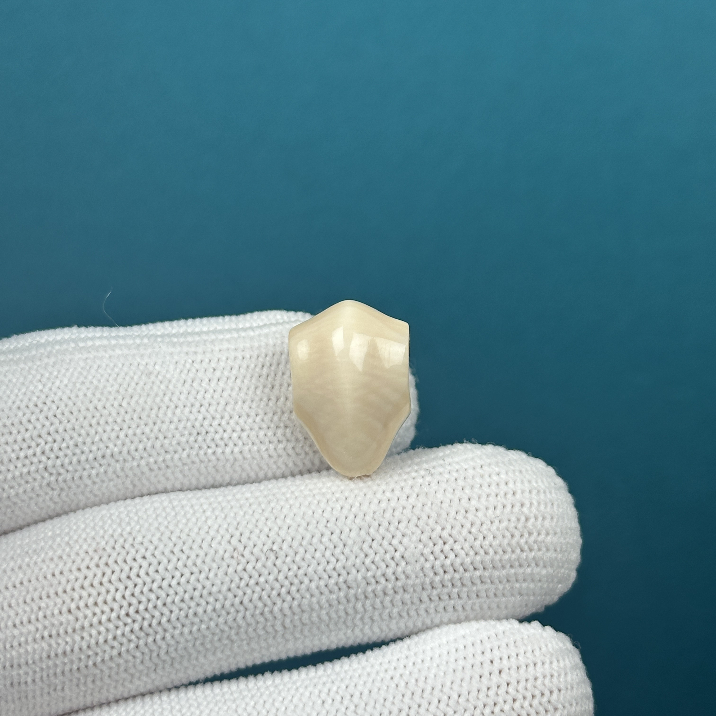 D60-31天然猛犸牙 鲨鱼背三通 12*17.9mm一物一图假一罚十