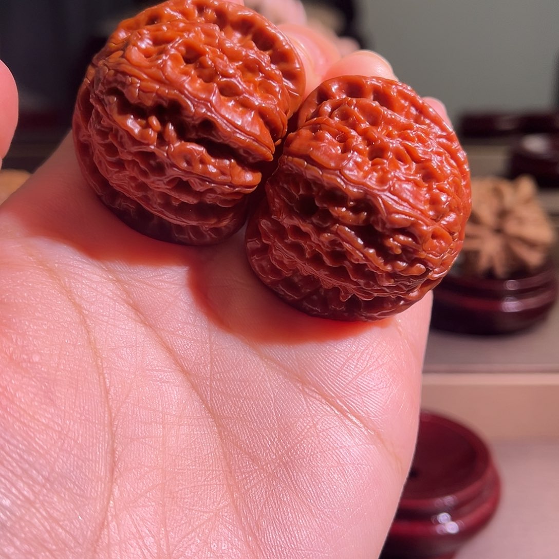 费***。核桃白狮子39尺寸